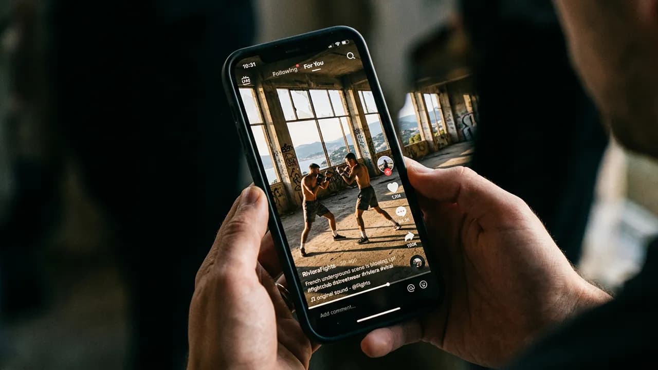 Where to Watch FPVS French Underground Fights: TikTok & Social Media Guide