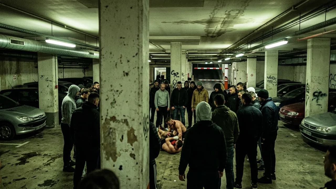 Underground Fighting in Paris: FPVS and the French No-Rules Movement
