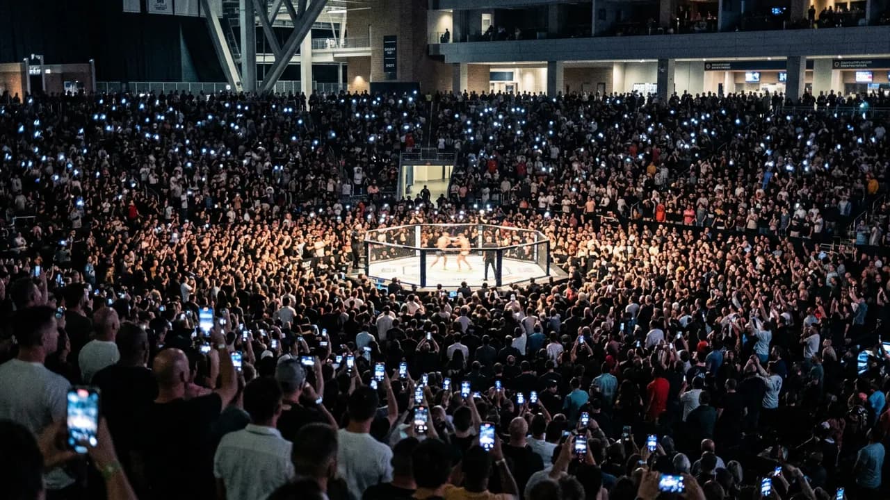 Underground Fighting in the United States: The Complete Guide