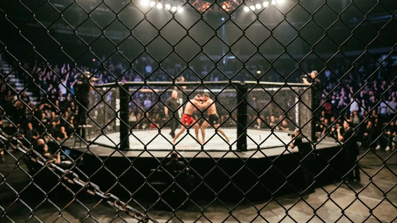 The Ultimate Guide to Underground Fighting: Everything You Need to Know